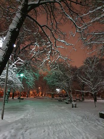 Read more about the article Konkurs fotograficzny ,,Krajobraz w zimowej szacie”